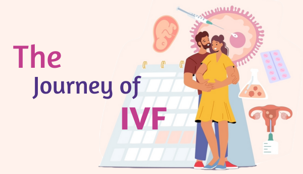 Journey of IVF