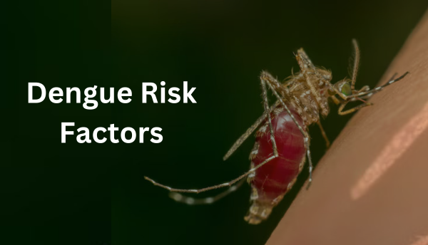 Dengue risk factors