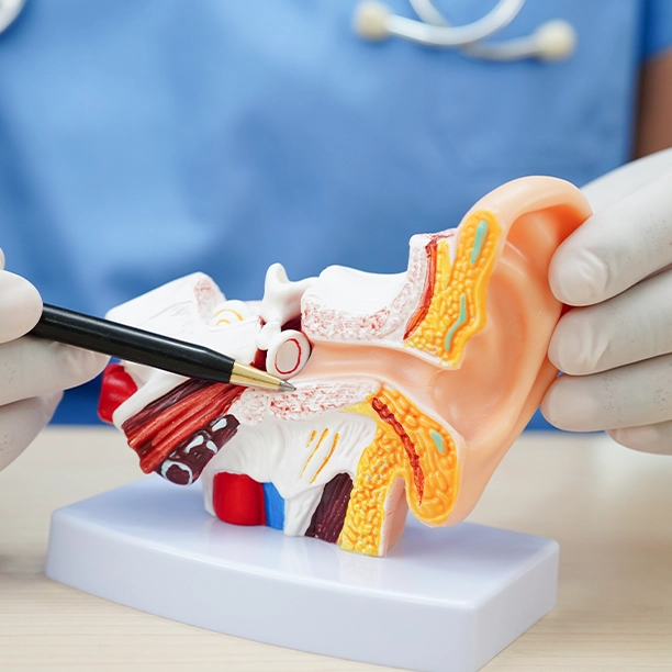 Cholesteatoma Treatment