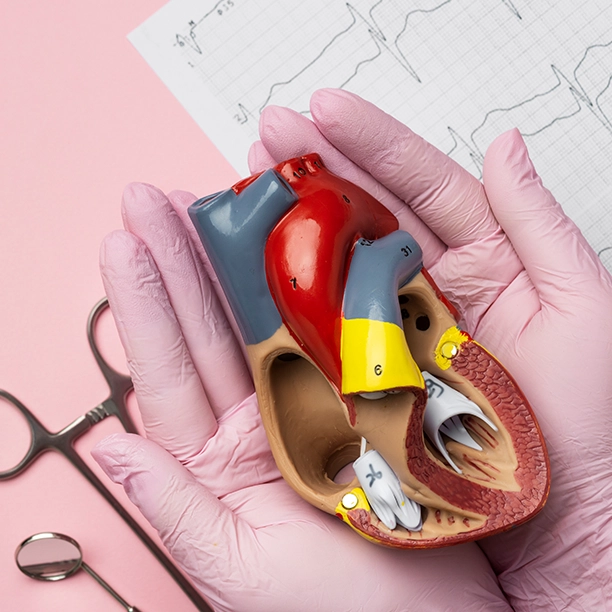 Heart Valve Replacement